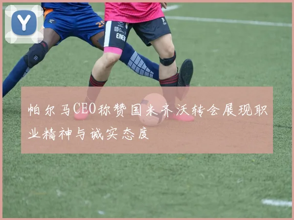 帕尔马CEO称赞国米齐沃转会展现职业精神与诚实态度