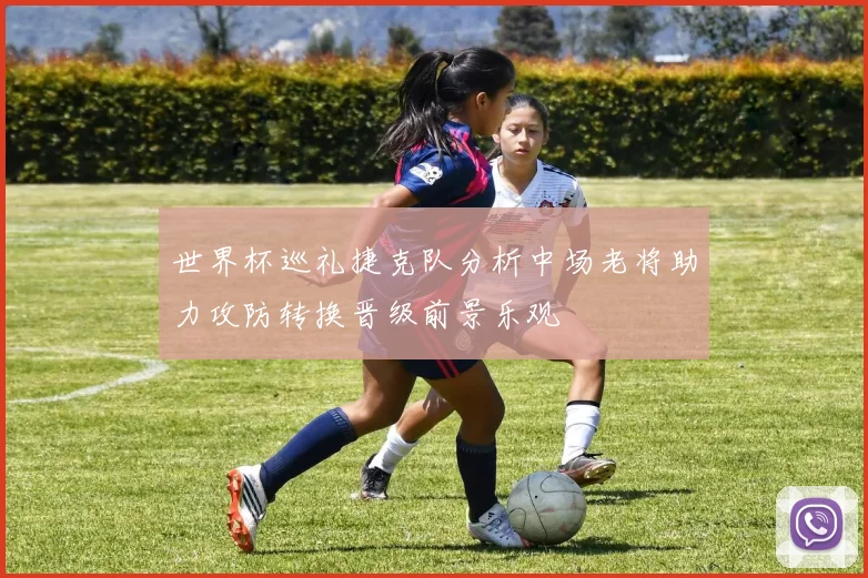 世界杯巡礼捷克队分析中场老将助力攻防转换晋级前景乐观